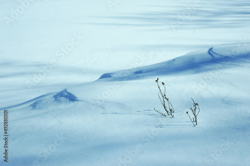 Blue hue on cold white snow drift landscape winter scene 