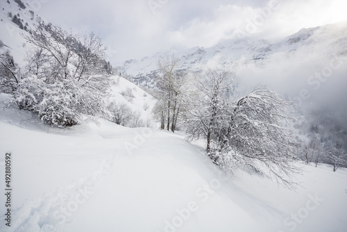 paysage enneigé à Vaujany en Oisans dans les alpes en France en hiver