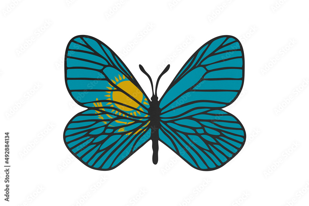 Butterfly wings in color of national flag. Clip art on white background. Kazakhstan