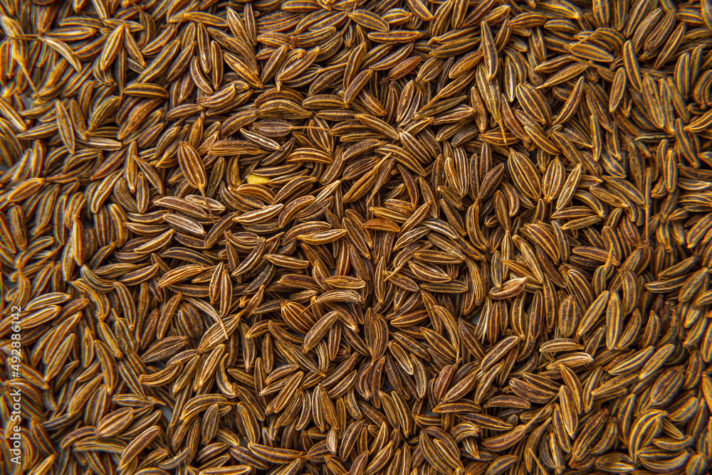 Macro caraway seeds. Macro dried of caraway seeds  top view. cumin seed close-up background pattern Ground cumin full frame