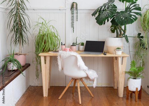working from home office with potted plants