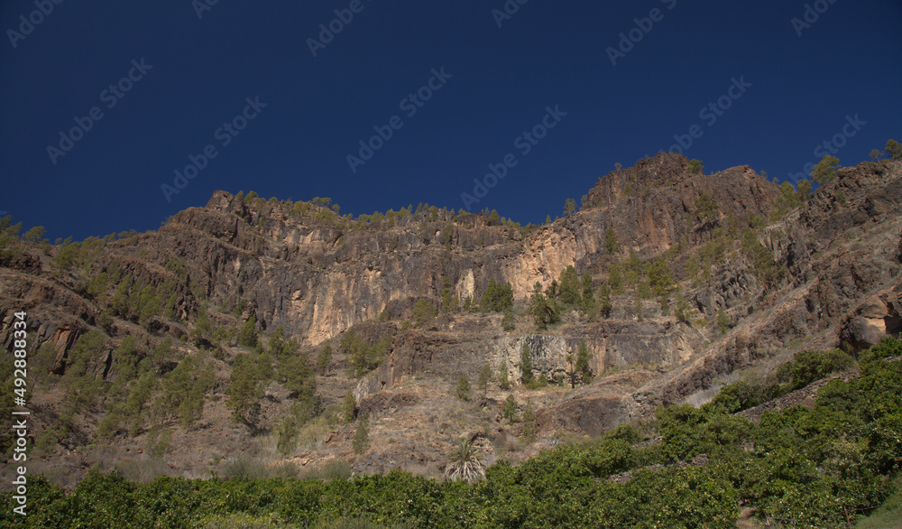 Fototapeta premium Gran Canaria, landscape of the southern part of the island along Barranco de Arguineguín steep and deep ravine with vertical rock walls, circular hiking route starting at a hamlet Barranquillo Andres 