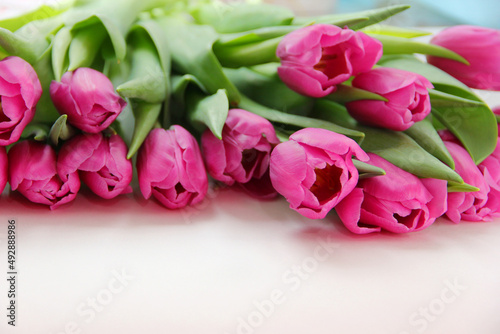 Purple tulips on a white background. Spring bouquet of purple tulips on a light background.