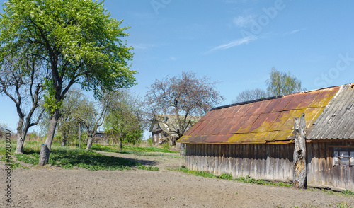 Belarusian village. Spring in the village. Agriculture. Belarus