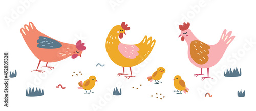 Cute hens with chickens in the meadow. Vector illustration.