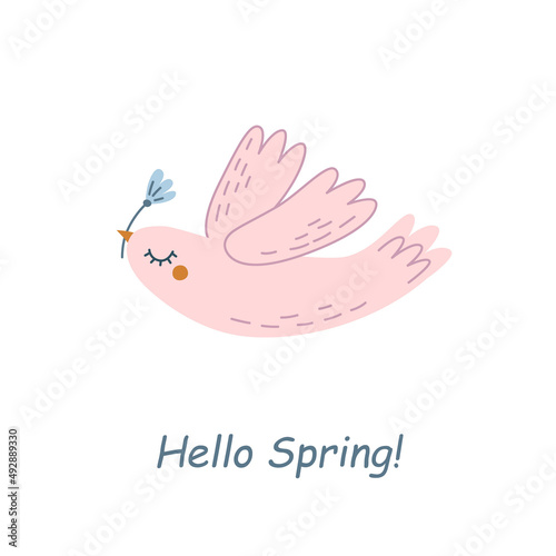 The spring dove carries spring on its wings