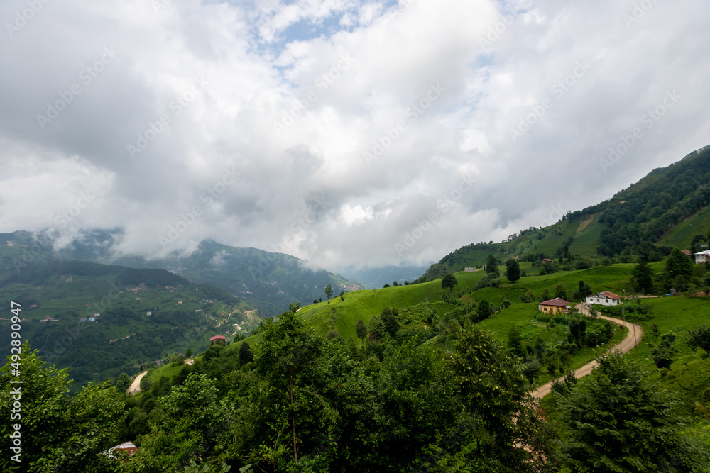 Fototapeta premium rize çamlıhemşin yayla manzarası