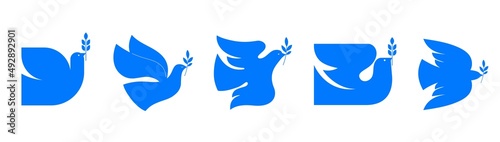 Fotografie, Obraz Flying bird, dove as a symbol of peace