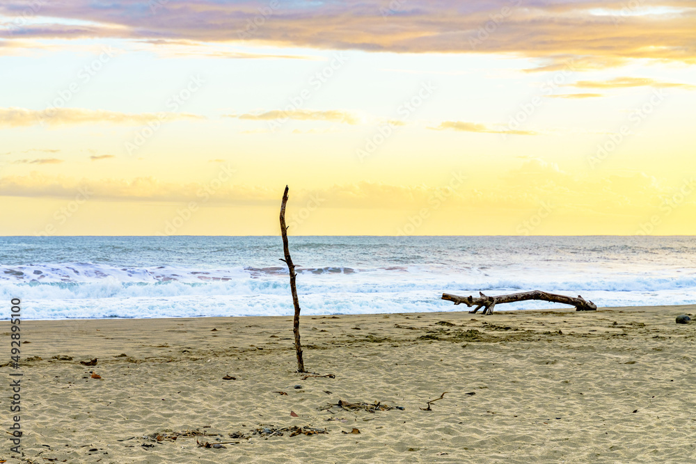 Sunrise at Playa Cocles, Caribbean beach, Puerto Viejo, Costa Rica east coast and log that looks like an alligator