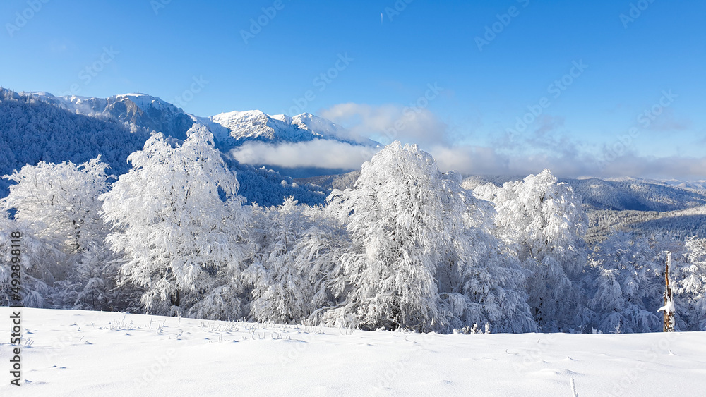 snow covered mountains, Urechea Ridge, Baiului Mountains, Romania 