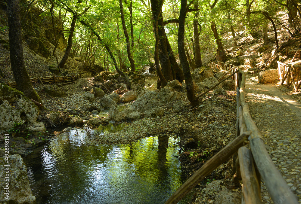 Obraz premium Butterfly valley reservat in Rhodes Island, Greece, walking paths in the nature