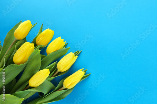 Bouquet of seven yellow tulips with green leaves in bottom left corner on blue paper background. Yellow-blue symbolic Ukrainian colors. Spring holidays concept. Greeting card with place for text.
