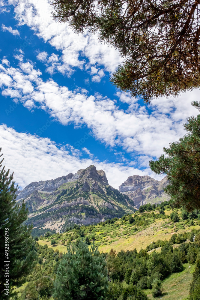 Obraz premium a mountain range framed with vegetation at the edges, on a summer day with a sky with cottony clouds, Pena Telera, Valle de Tena, Biescas, Huesca, Spain