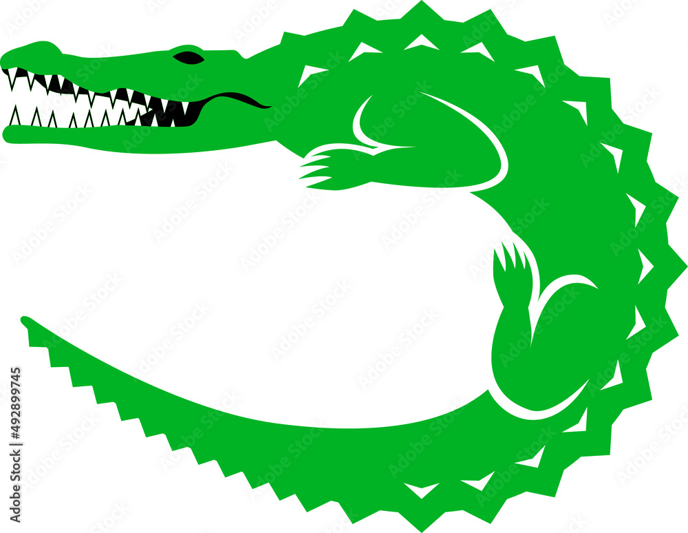 Obraz premium Rounded Crocodile, vector illustration, icon, logo