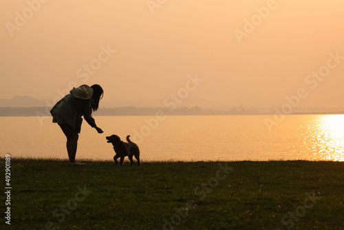 silhouette of a girl playing with a puppy happily in the morning sunlight