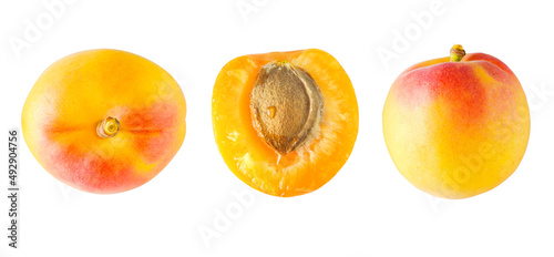 Macro isolated apricots on white background in different positions. 