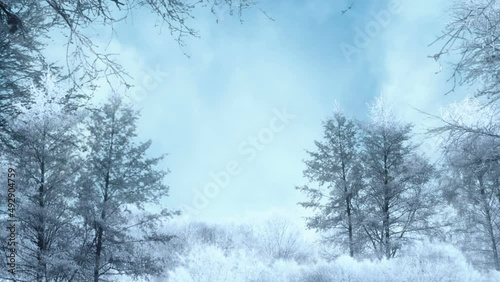 Wallpaper Mural winter background loops Torontodigital.ca