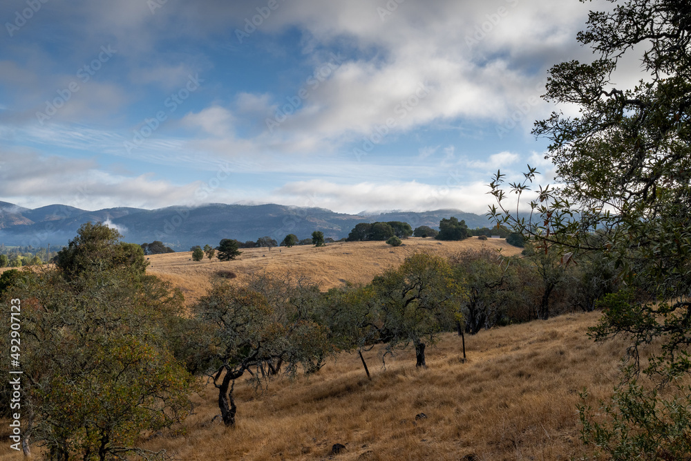 Skyline trail, Skyline Wilderness park, vista on a partly cloudy day in Napa County, California