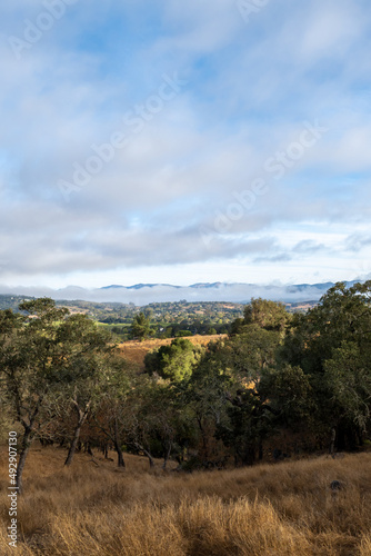 Skyline trail, Skyline Wilderness park, vista of the Napa Valley on a partly cloudy day with copy-space