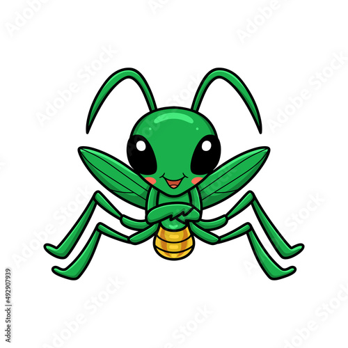Cute little mantis cartoon character