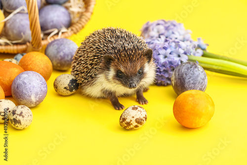Funny hedgehog with basket,...