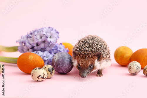 Cute hedgehog with Easter e...