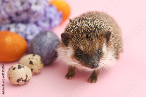 Cute hedgehog with Easter e...