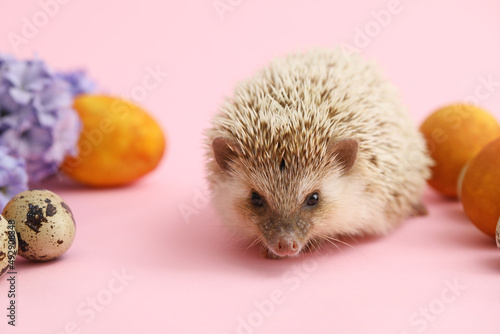 Cute hedgehog with Easter e...