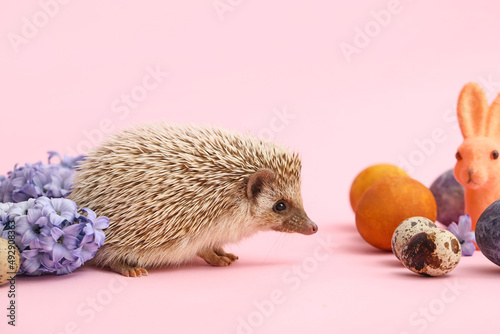 Funny hedgehog with Easter ...