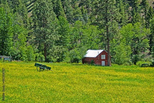 Red Cabin and Green Wagon in Meadow