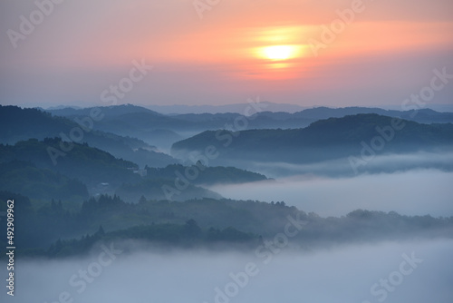 Fototapeta Naklejka Na Ścianę i Meble -  Sea of clouds in early morning