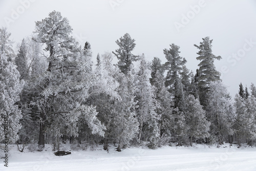 Hoar frost covers trees and forms feathery crystals in the humid Northern Minnesota air on Gunflint Lake near the Boundary Waters Canoe Area Wilderness