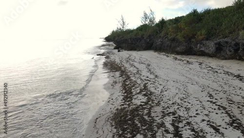 Beach on Zanzibar island, Tanzania, Africa
