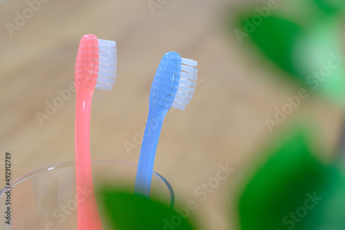 歯ブラシ 2本 新生活 カップル 夫婦
