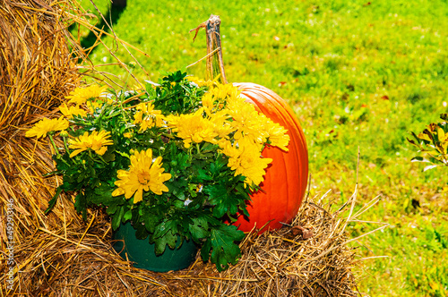 Thanksgiving decor
