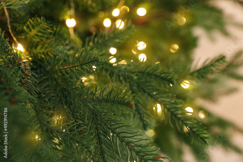 Beautiful Christmas tree with glowing fairy lights, closeup