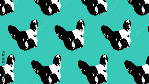 Mosaico Bulldog Francés color