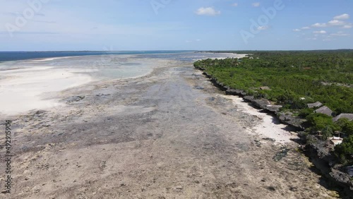 Zanzibar, Tanzania - low tide in the ocean near the shore photo