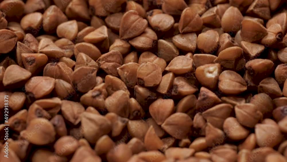 Buckwheat. Camera slowly moves up to show macro shot of buckwheat Buckwheat. Camera slowly moves up to show macro shot of buckwheat