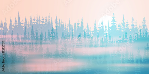 Coniferous forest in the morning fog, orient sun, vector landscape