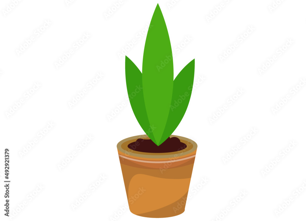植木鉢と植物 ベクターイラスト Stock Vector Adobe Stock