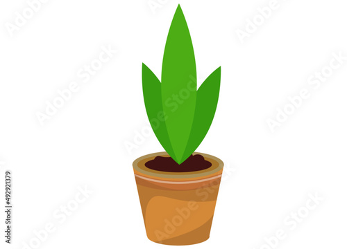 植木鉢と植物 ベクターイラスト