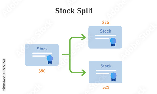 Stock split divide increase the number of shares in a company