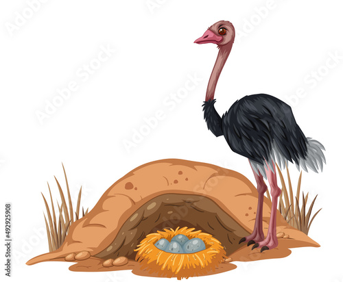 Ostrich with its egg in cartoon style
