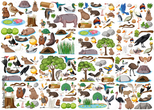 Different kinds of wild animals collection Fototapet