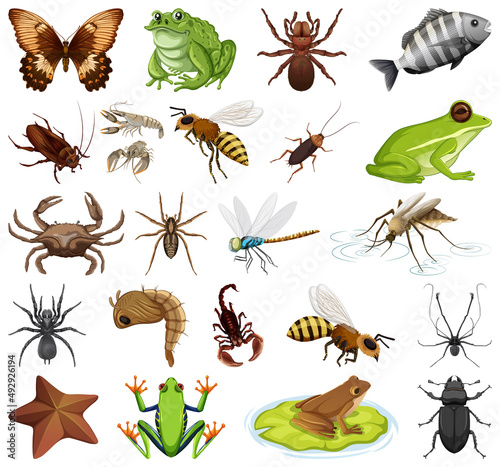 Different kinds of insects and animals on white background