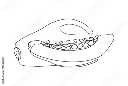 Continuous single one line drawing of fresh papaya exotic tropical fruit vector illustration