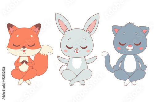 Yoga cartoon animals - fox, rabbit and cat, vector