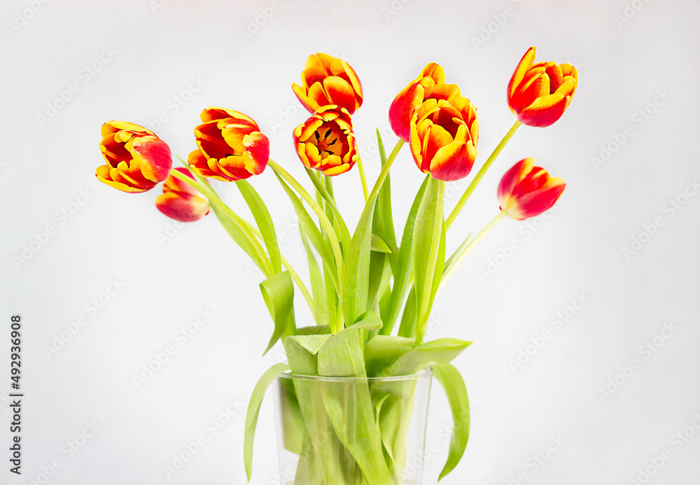 bouquet of red tulips in a vase close-up