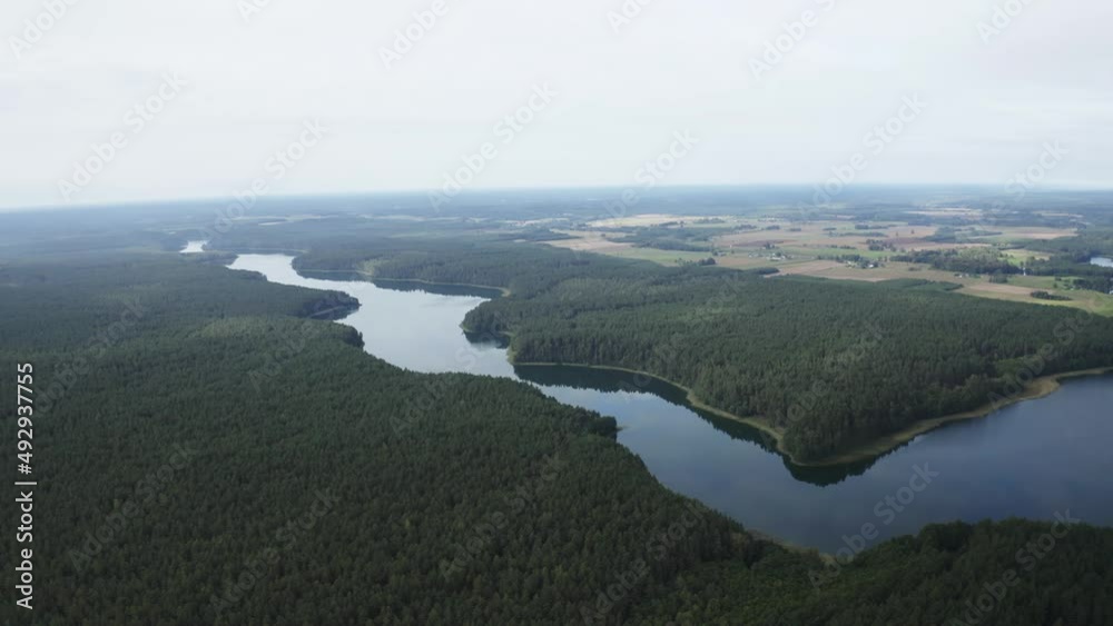 River floating through green forest during summer midday